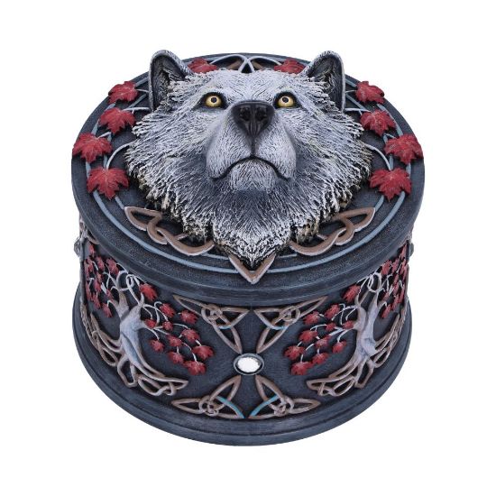 Picture of Guardian of the Fall Box (LP) 11cm