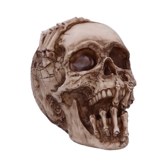 Picture of Breaking Out Skull (JR) 20cm