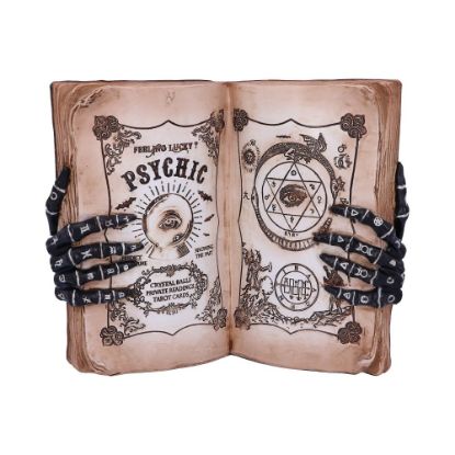 Picture of Psychic Compendium 25.8cm