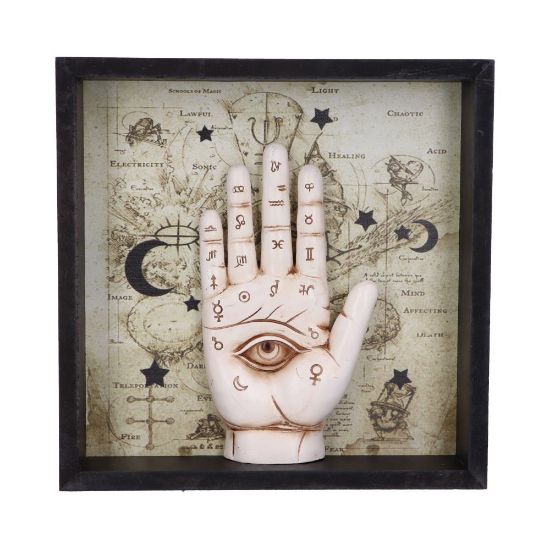 Picture of Palmistry Companion 20.2cm