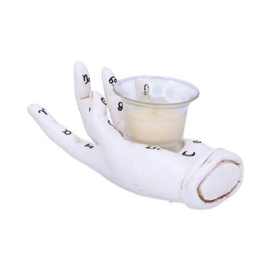 Picture of Palmist's Prediction (White) 18.3cm