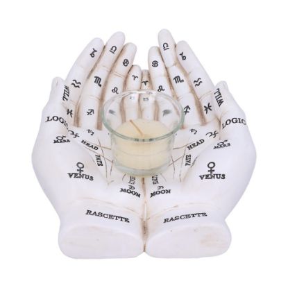 Picture of Palmist's Guide (White) 22.3cm