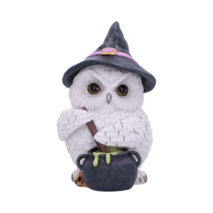 Picture of Owl Potion 17.5cm