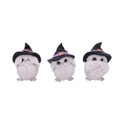 Picture of Three Wise Feathered Familiars 9cm