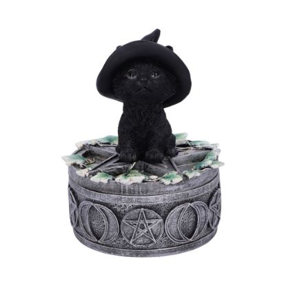 Picture of Ivy Familiar Box 15cm