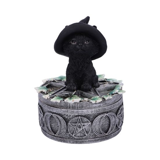 Picture of Ivy Familiar Box 15cm