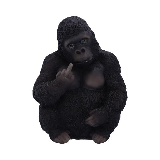 Picture of Gone Wild 15.5cm