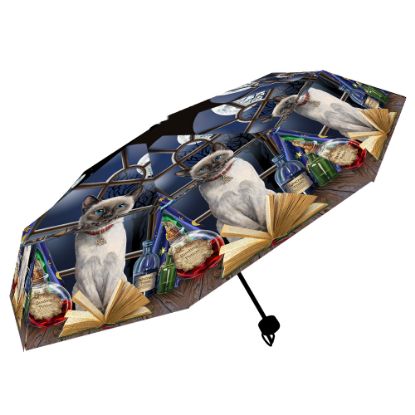 Picture of Hocus Pocus Umbrella (LP)