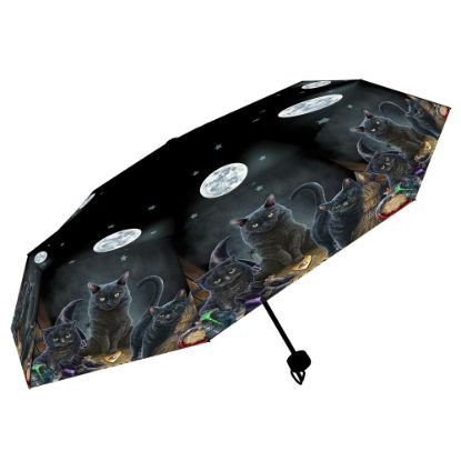 Picture of Familiars Umbrella (LP)