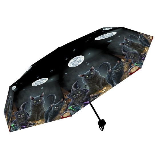 Picture of Familiars Umbrella (LP)