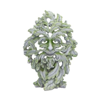 Picture of Forest Ancient 30cm