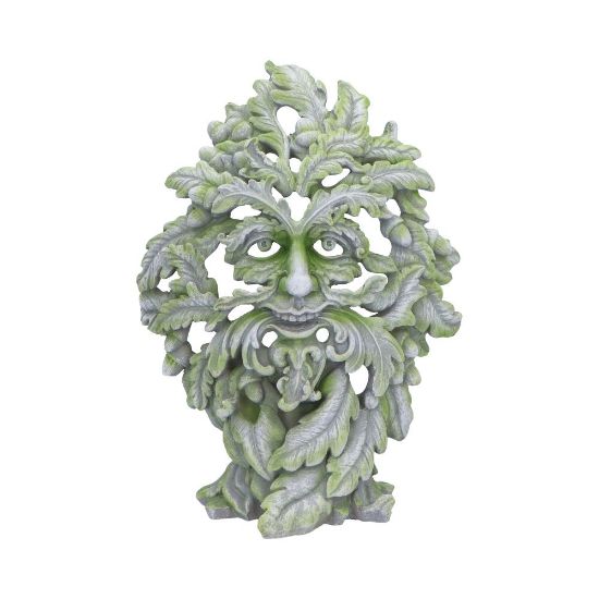 Picture of Forest Ancient 30cm