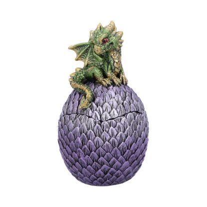 Picture of Dragonling Perch Box (Green) 14cm
