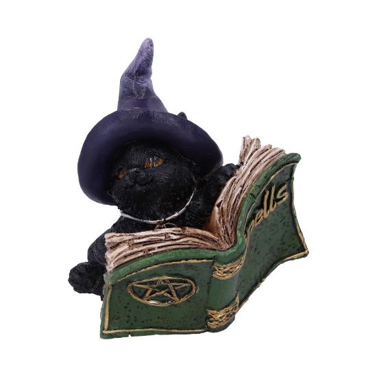 Picture of Kitty's Grimoire (Green) 8.2cm