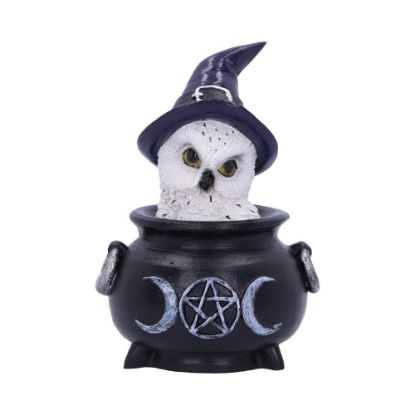 Picture of Owl's Brew 10cm