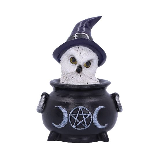 Picture of Owl's Brew 10cm