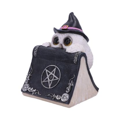 Picture of Owl's Spell 15cm