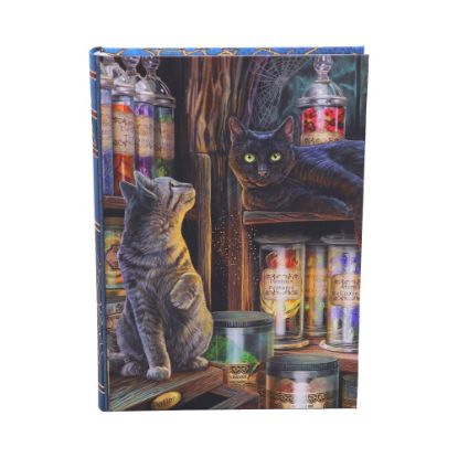 Picture of Magical Emporium Journal (LP) 17cm