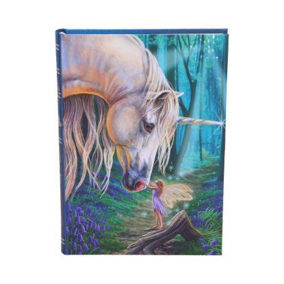 Picture of Fairy Whispers Journal (LP) 17cm