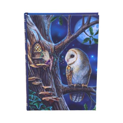 Picture of Fairy Tales Journal (LP) 17cm