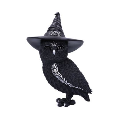 Picture of Owlocen 30cm (Large)