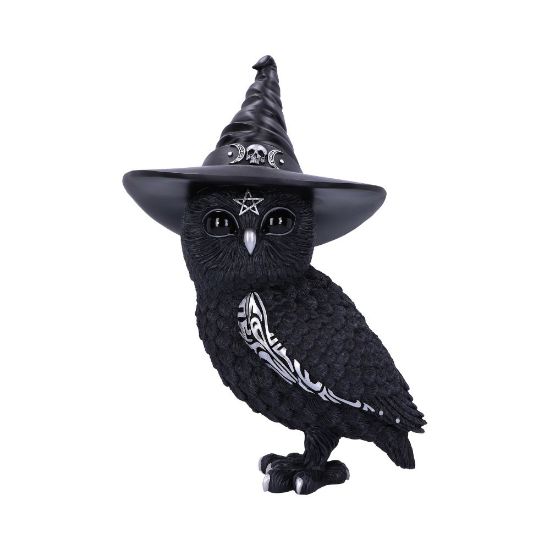Picture of Owlocen 30cm (Large)