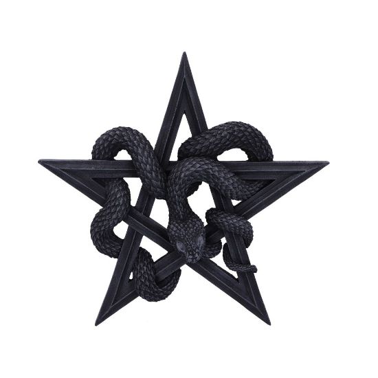 Picture of Serpent's Worship 24cm