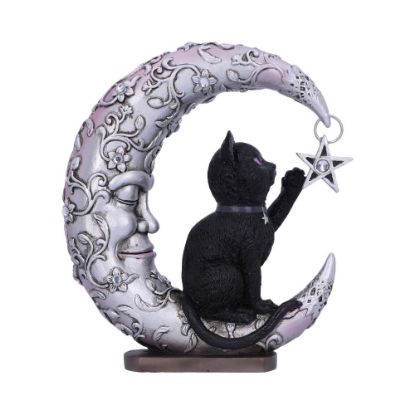 Picture of Luna Companion 18.8cm
