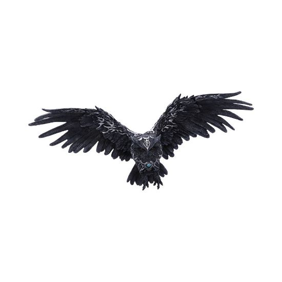 Picture of Dark Feather 55cm