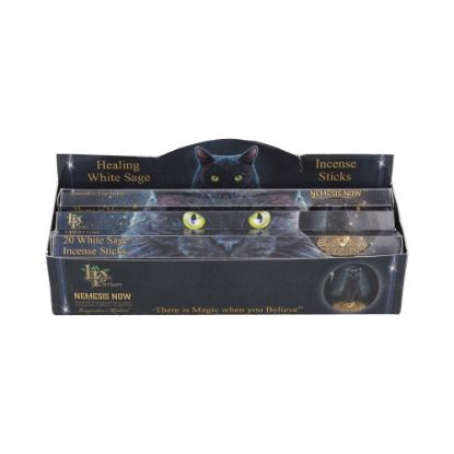 Picture of Healing Incense Sticks White Sage (LP)