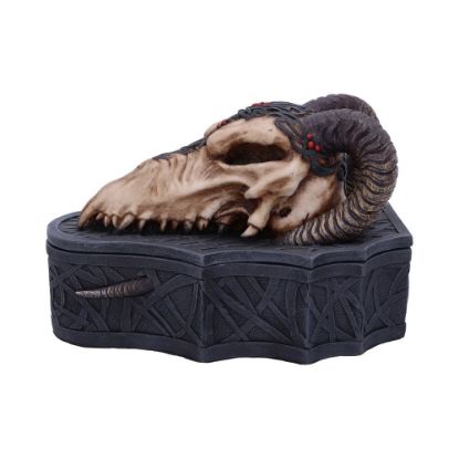 Picture of Dragon Skull Box (Monte Moore) 17.7cm