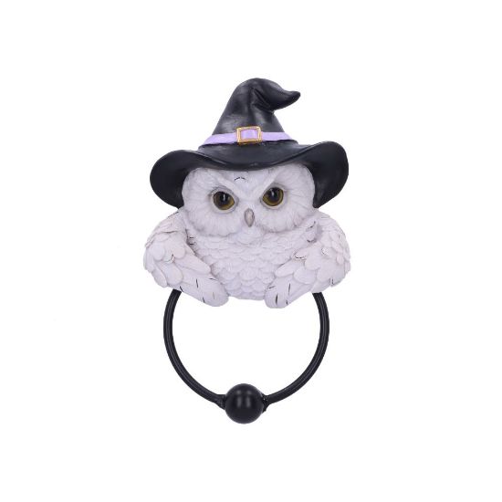 Picture of Snowy Magic Door Knocker 21cm