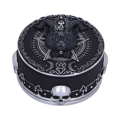 Picture of Pawzuph Trinket Box 10.8cm