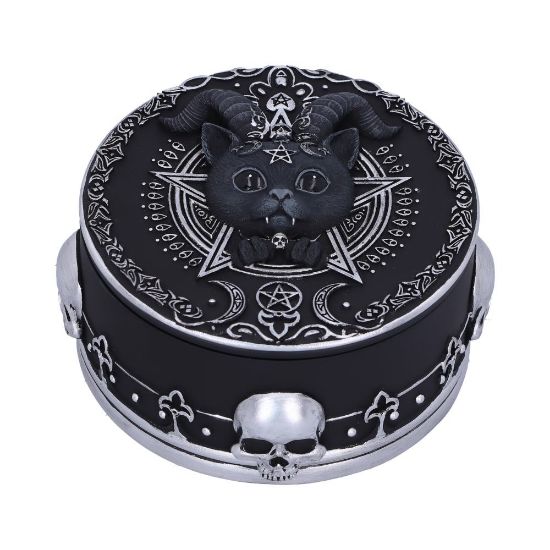 Picture of Pawzuph Trinket Box 10.8cm
