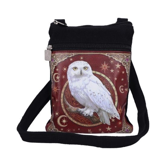 Picture of Magical Flight Shoulder Bag 23cm