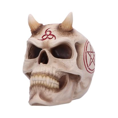 Picture of 666 Skull (JR) 20cm