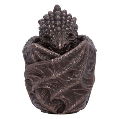 Picture of Dragon Snuggle Box 9cm