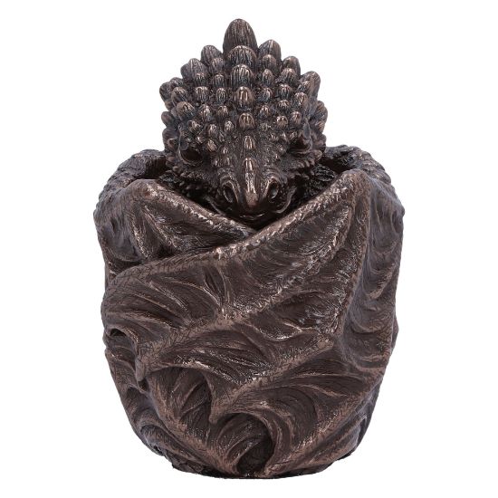 Picture of Dragon Snuggle Box 9cm