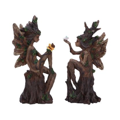 Picture of Woodland Beauty (set of 2) 15.5cm