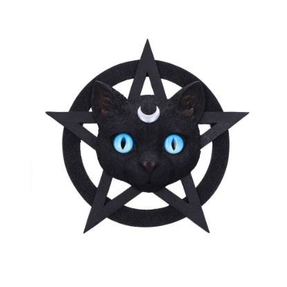 Picture of Feline Worship 25.5cm
