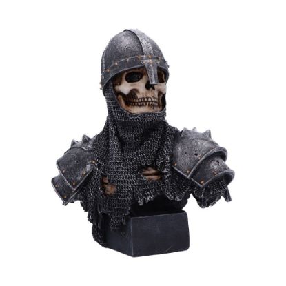 Picture of Into the Knight 19cm