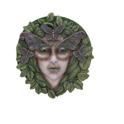 Picture of Fern 20cm
