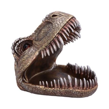 Picture of Tyrannosaurus Rex Dish 24cm