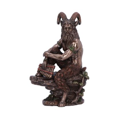 Picture of Pan (Medium) 15cm