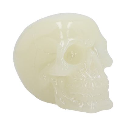 Picture of Phosphorescent (Medium) 13cm