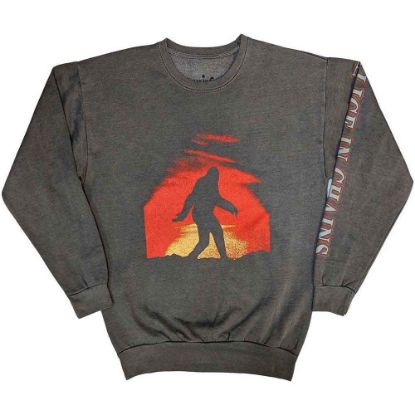 Picture of Alice In Chains Unisex Sweatshirt: Sasquatch Sunset (Sleeve Print) (Medium)