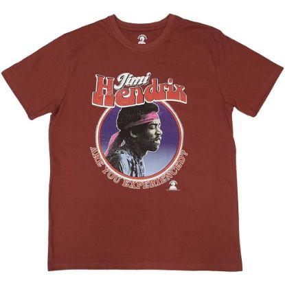 Picture of Jimi Hendrix Unisex T-Shirt: Are You Experienced