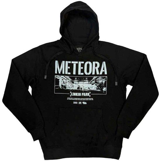 Picture of Linkin Park Unisex Pullover Hoodie: Meteora Wall Art