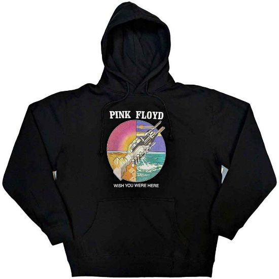 Picture of Pink Floyd Unisex Pullover Hoodie: WYWH Circle Icons
