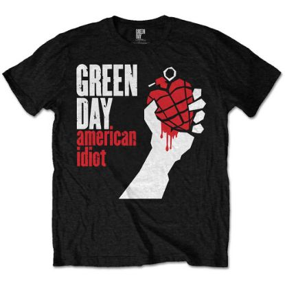 Picture of Green Day Kids T-Shirt: American Idiot